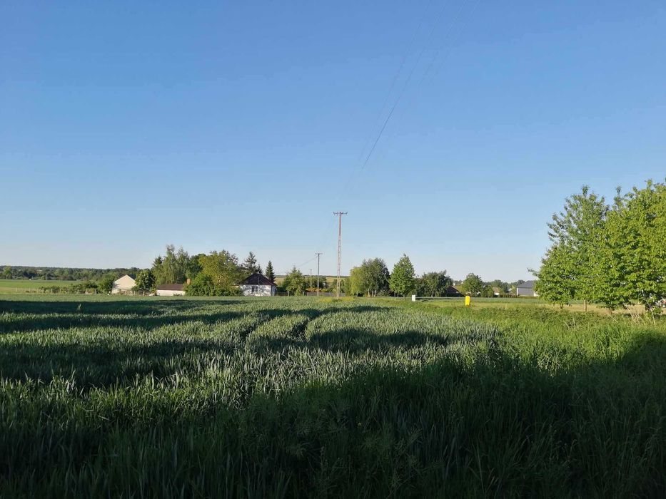 Ostatnia działka w pierwszej linii zabudowy! 15 min. od Lublina