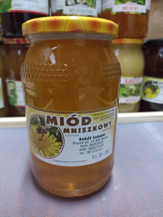 Miód mniszkowy z własnej pasieki 1,25 kg