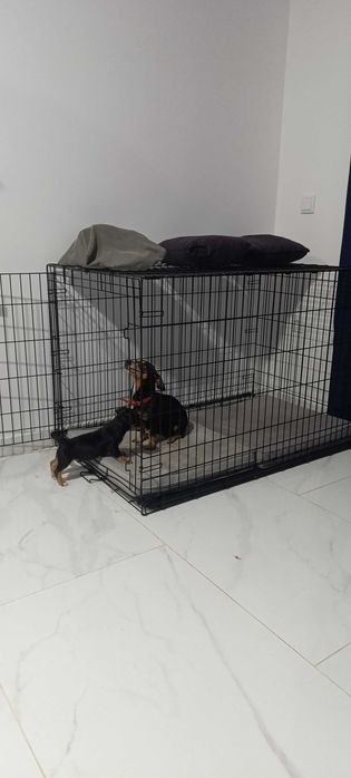 Gaiola para cães metal