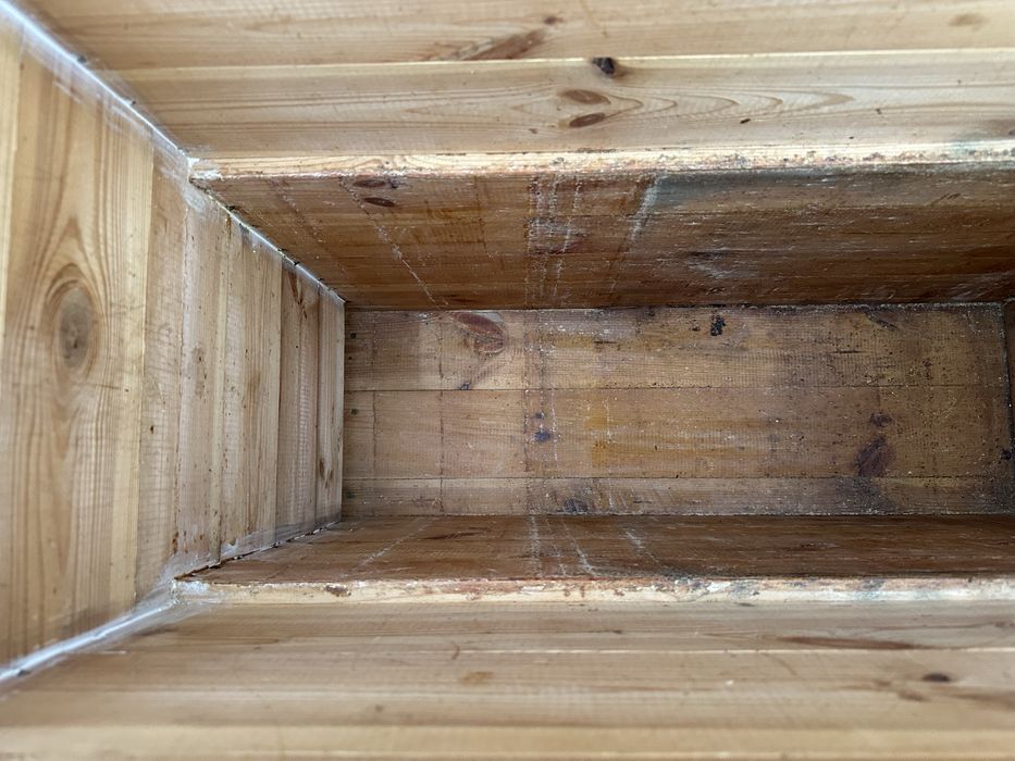 Ule Warszawskie zwykłe