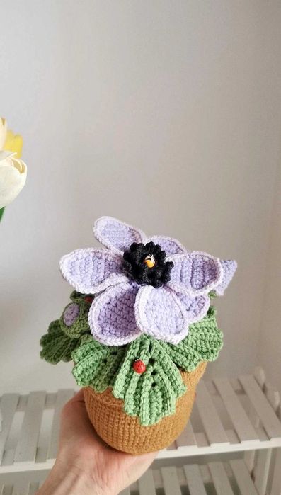 Zawilec na szydełku, kwiaty, anemon handmade