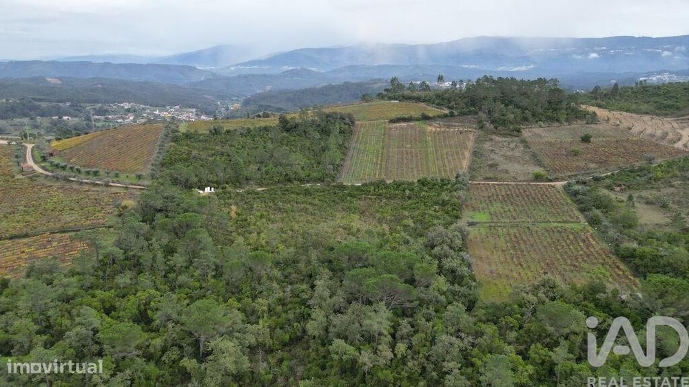 Terreno Agrícola em Condeixa-a-Velha e Condeixa-a-Nova