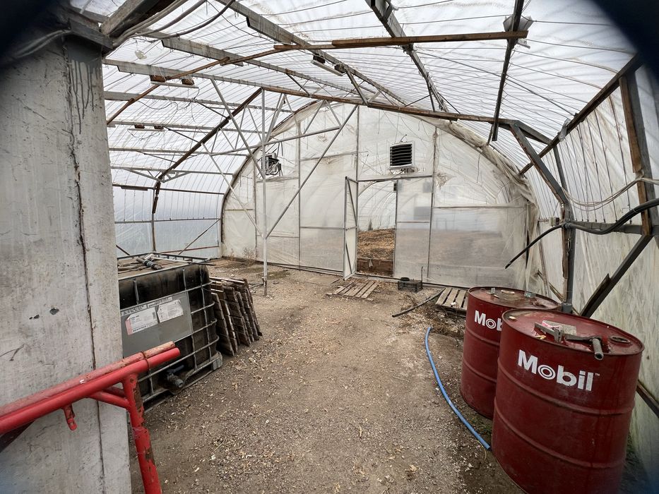 Сдам в аренду землю 6 Га на поливе