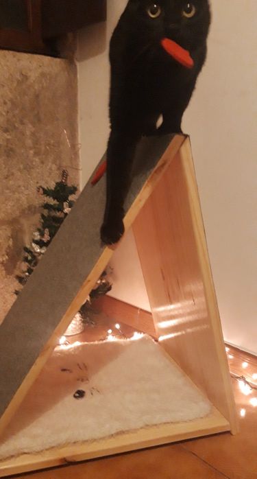 Móvel para gato/arranhador/cama