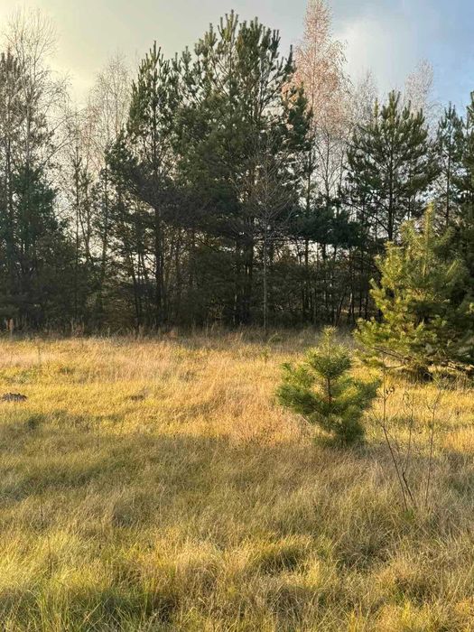 Земельна ділянка, с. Туринка