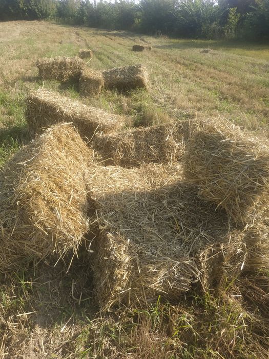Продам тюки соломи