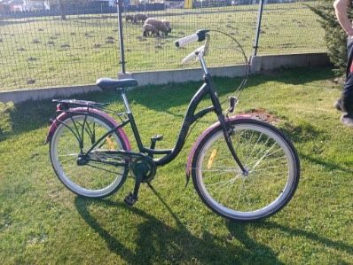 Rower rózowy miejski