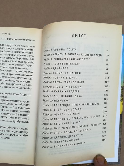 Гаррі Поттер і в'язень азкабану Вітько Буц діє Євген Філ