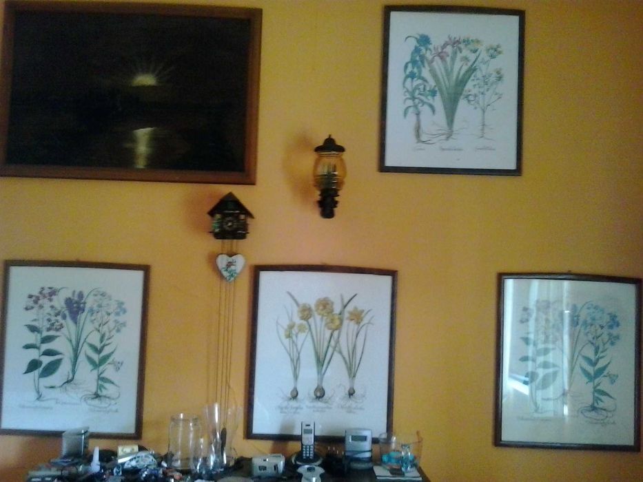 Louças antigas ,conjunto pintado à mão(Bernarda) quadros telefones