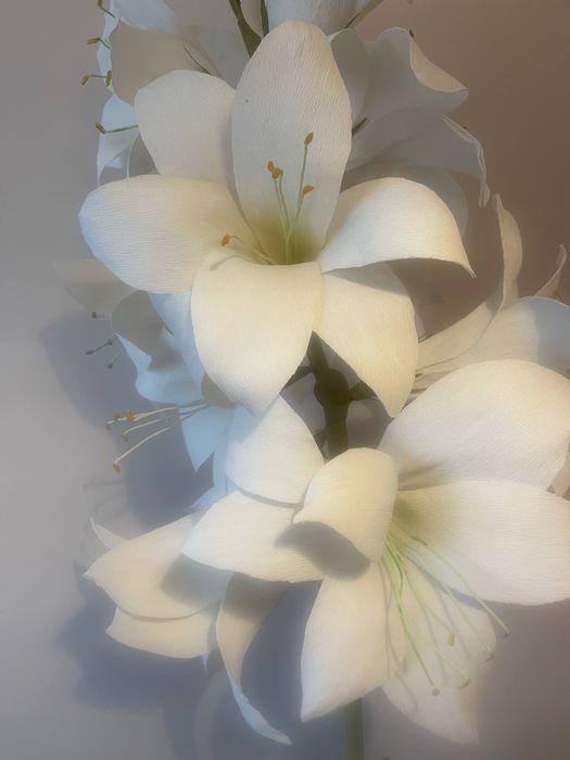 Duza biala lilia z krepiny