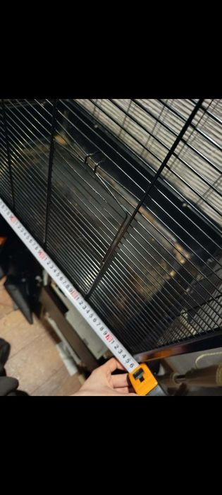 Spedam kladke  używana