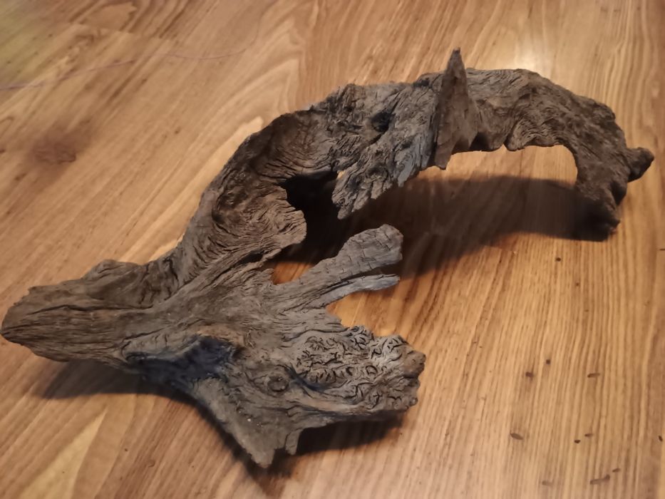 Korzenie do akwarium