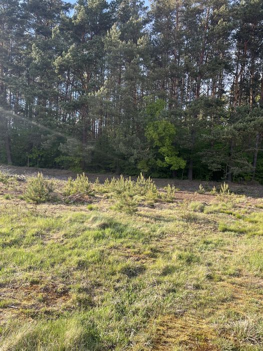 Działka Budowlana Łośno