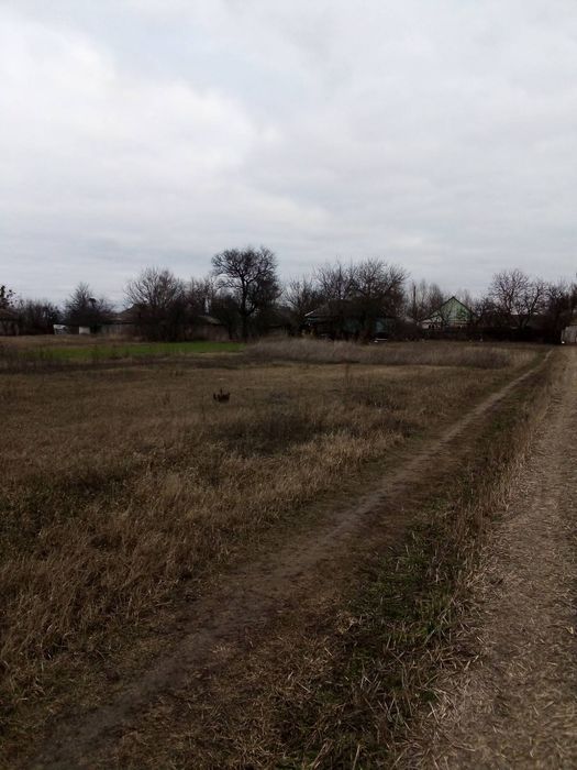 Продам  дом від власника