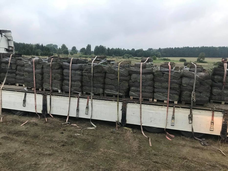 -> TRAWA w Rolkach Ogrodowa | MONTAŻ | Producent Polski