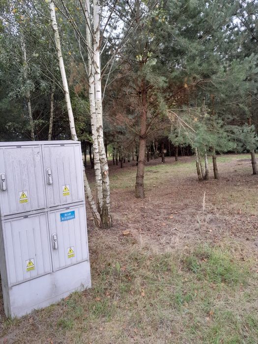 Działka budowlana w Rokitnicy - Widok 4