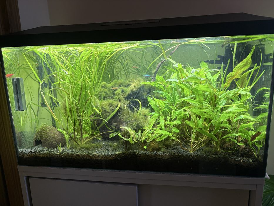 Akwarium 100l szafka komplet