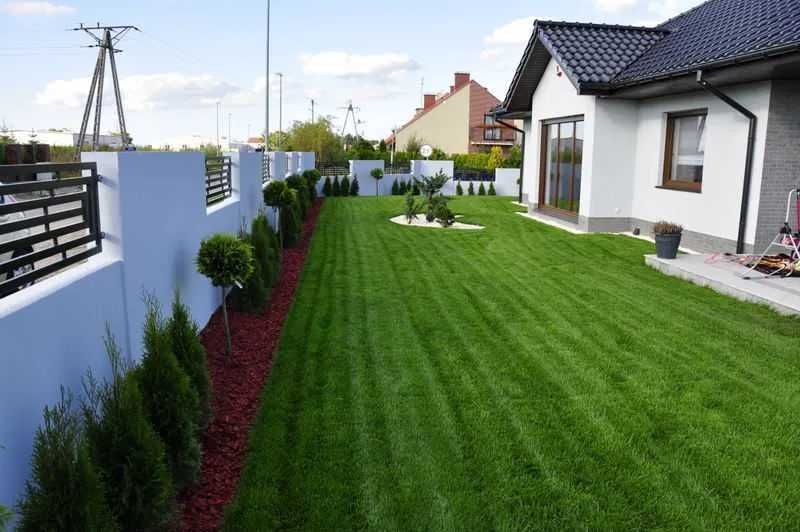 TRAWA NASIONA NA TRAWNIK życica trwała Naki 10 kg