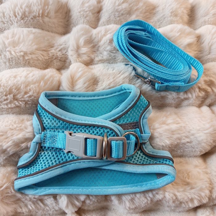Niebieskie szelki dla małego psa szczeniaka smycz