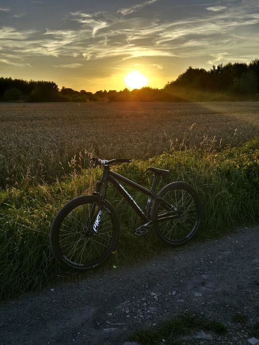 Rower dirt Ns Bikes decade v3 pike dj