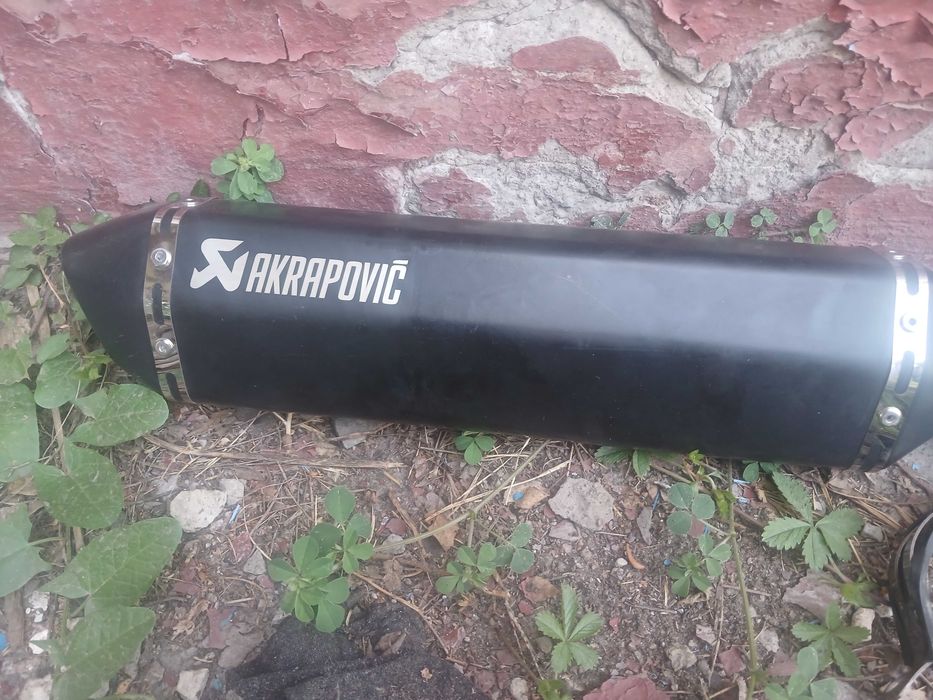 Прямоток акрапович