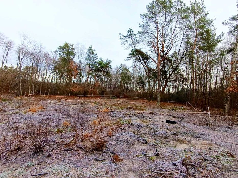 Земельна ділянка у с. Городилець.
