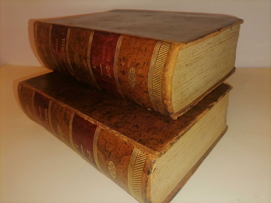 Novo Dicionário da Língua Portuguesa Terceira Edição