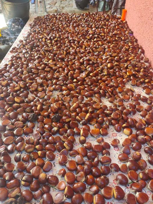 Vendo castanhas