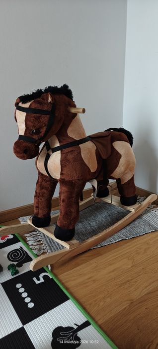 Konik na biegunach