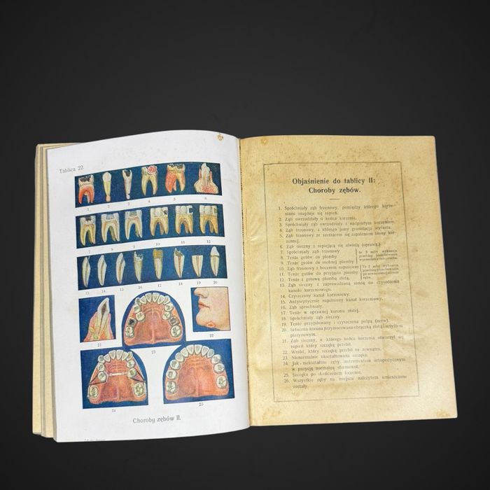 Antyk Lekarka Domowa Dr med. Janina Springer  przedwojenna encyklopedia B61/042501