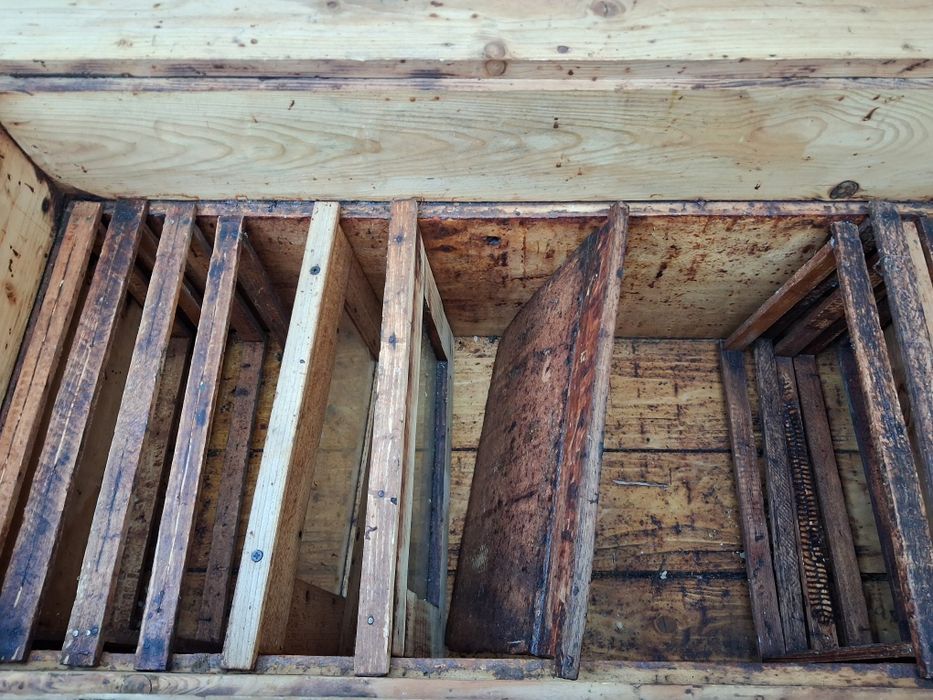 Ule wielkopolskie leżaki 18 ramkowe