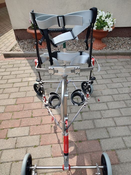 Pionizator Walker