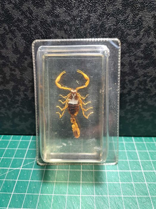 Escorpiões em resina embalados.