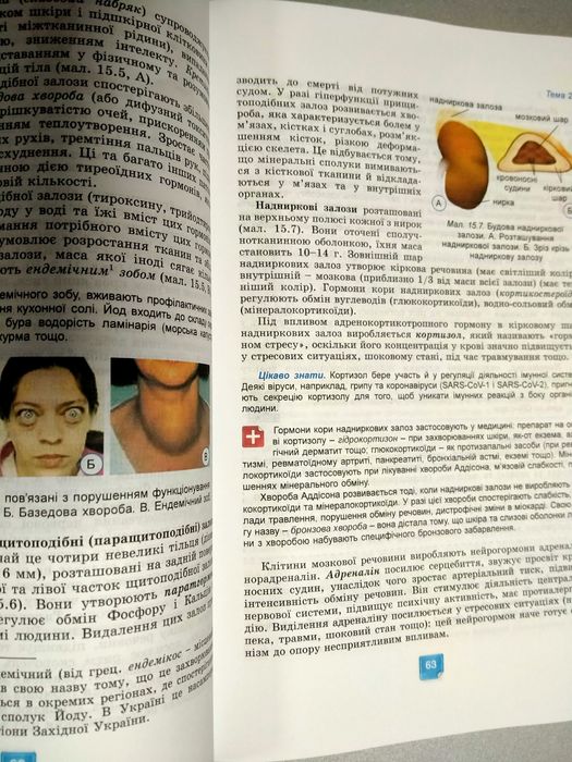 Біологія, 8 клас, 2025 рік