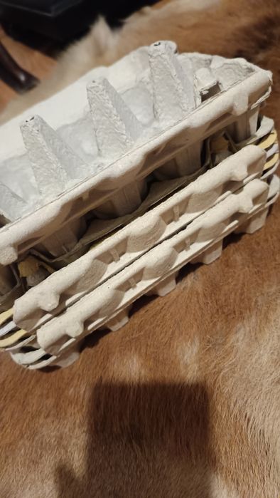 Wytłaczanki na 10 jajek