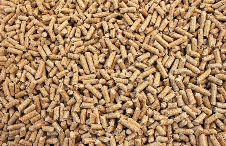Pellet Iglasty Best Pellet Świerklany