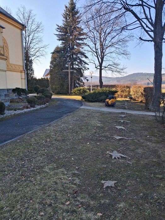 Frezowanie Karp Usuwanie Korzeni Pni Drzew Frezarka do Pni