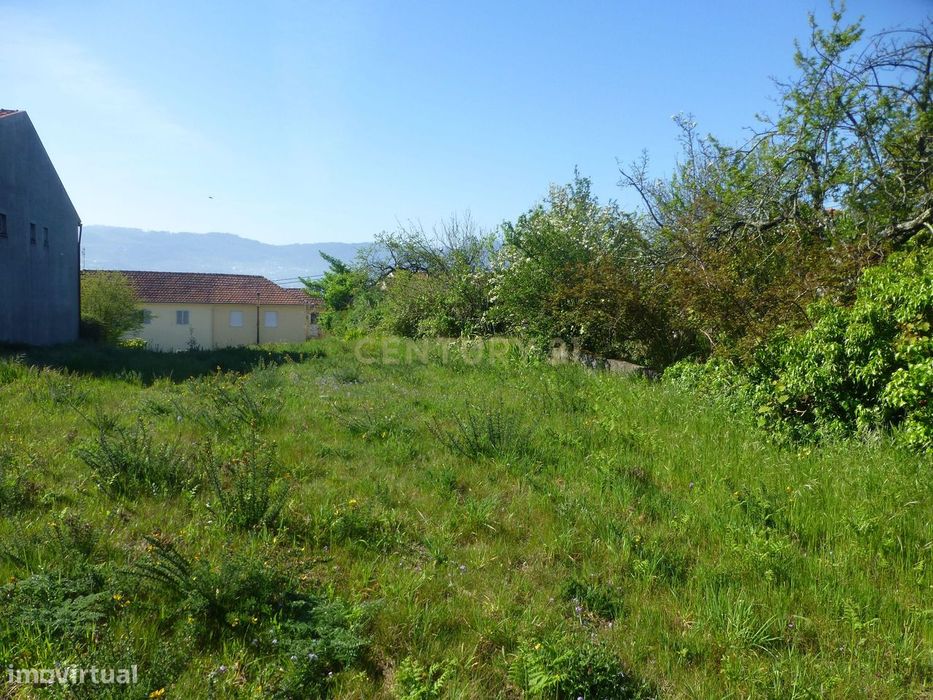 Terreno para construção com 900 m2 no Alto da Bandeira- Aves