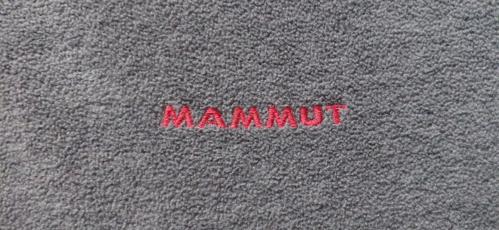 Чоловіча флісова кофта Mammut