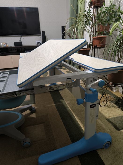 Парта Cubby imparare, Kpicno FunDesk
Primavera I Blue