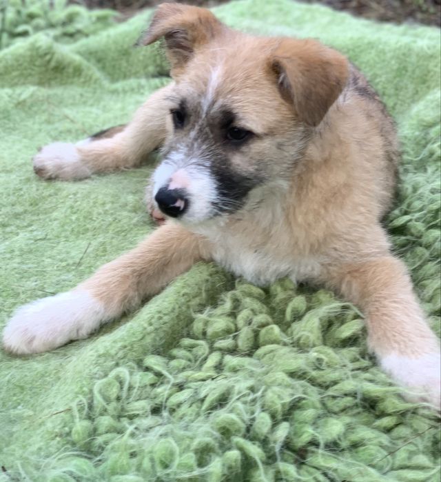 Хлопчик шукає родину