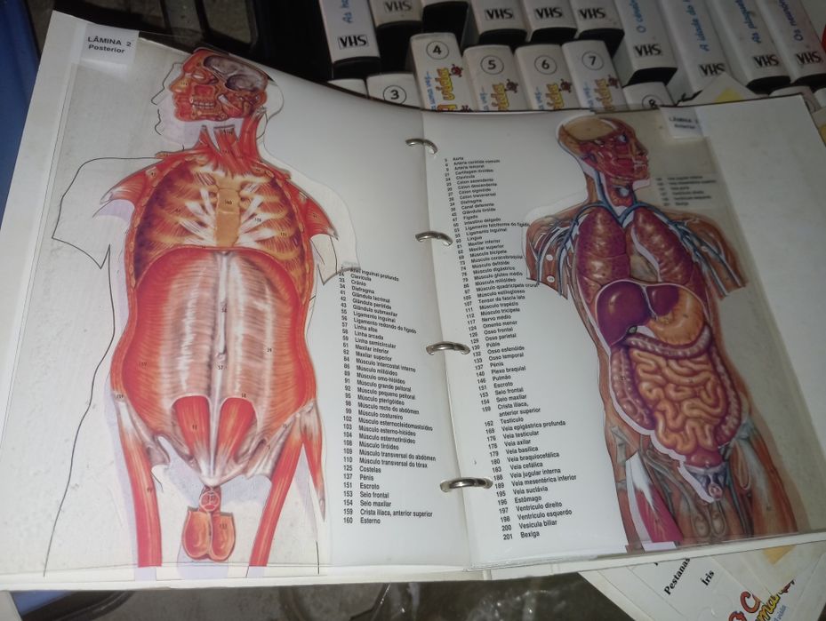 Coleção "Era uma vez o Corpo Humano"Planeta Agostini