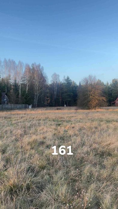 Sprzedam Działkę Rolno-łąkową Blisko rzeki Pilica - Widok 5