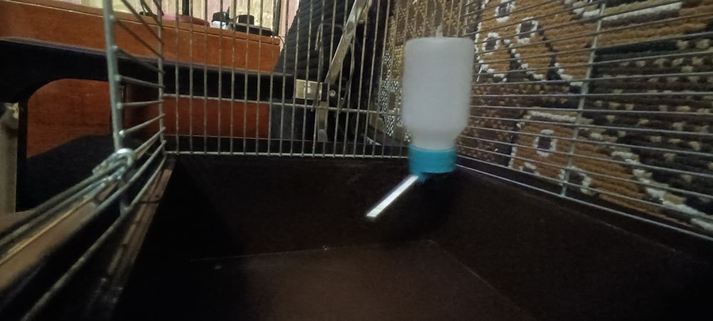 Клітка для хом'яка (колесо+поїлка)