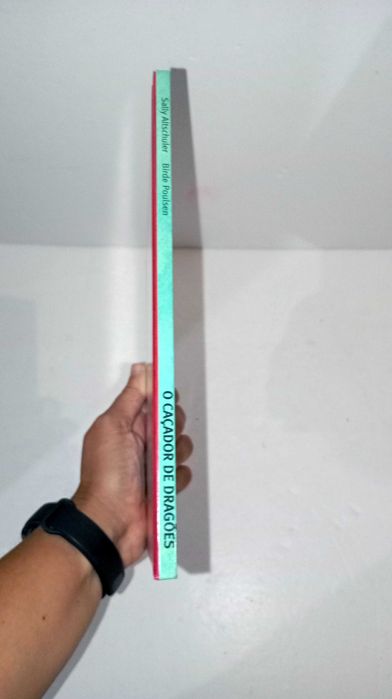 O Caçador de Dragões