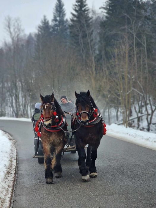 Kuligi, przejażdżki