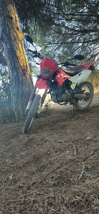 Shineray XY 125 GY