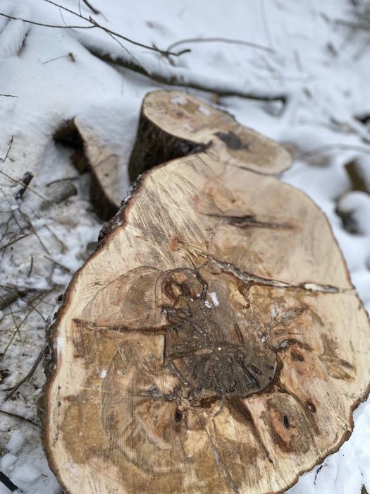 Дрова - купи тепло в свое жилище