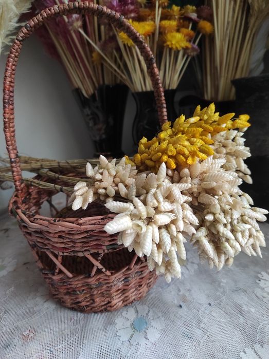 Сухоцвіти Сухоцветы   вейник    скабіоз  гіпсофіла