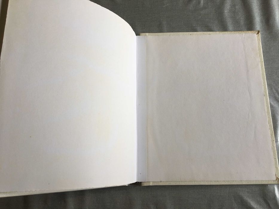 Conjunto de 2 álbuns fotográficos vintage